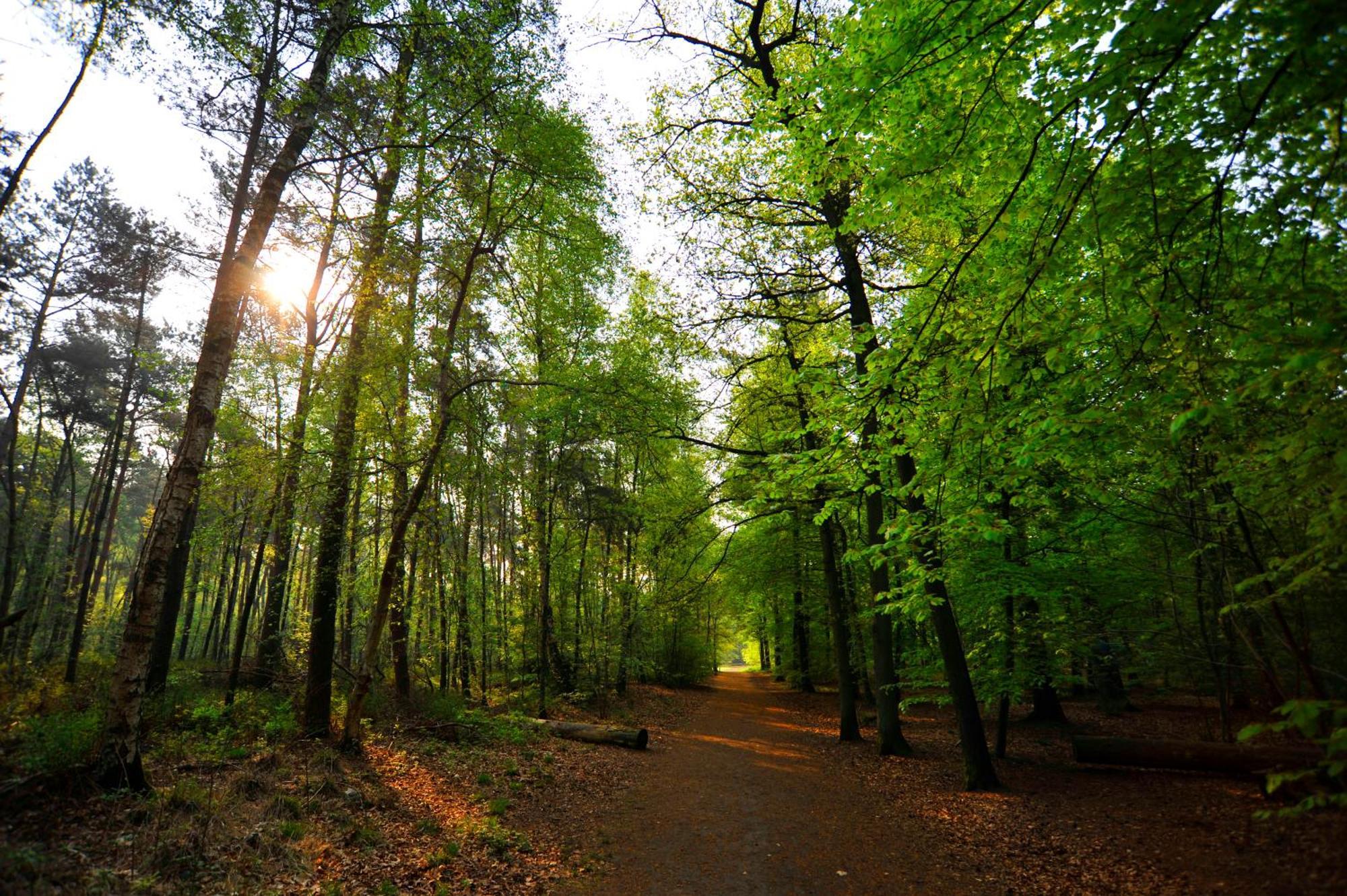 Parkhotel Mastbosch Breda Dış mekan fotoğraf