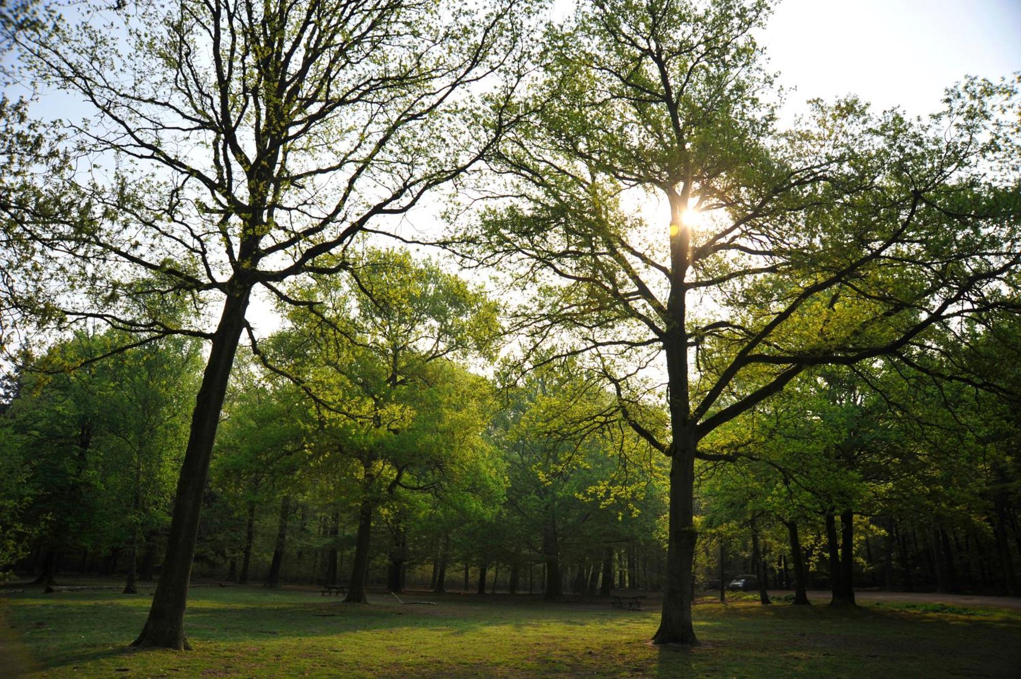 Parkhotel Mastbosch Breda Dış mekan fotoğraf